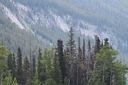 31 - Maligne Canyon, Medicine Lake, Maligne Lake - IMG_1114
